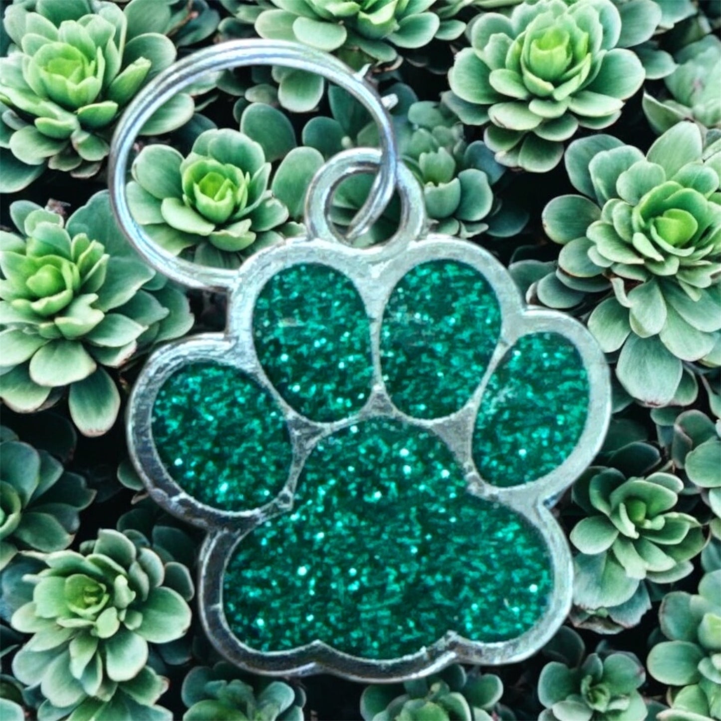 Cat Tags - Personalised
