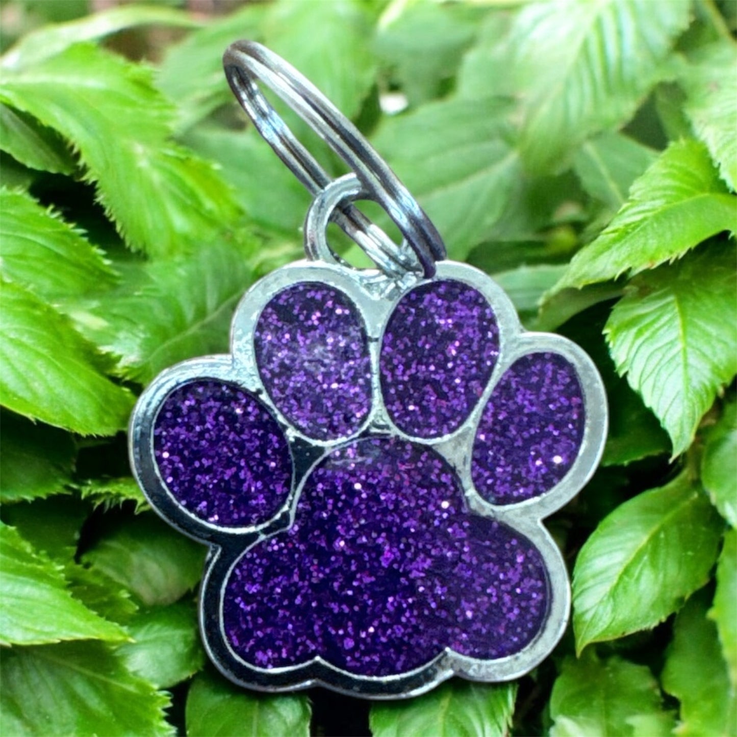 Cat Tags - Personalised