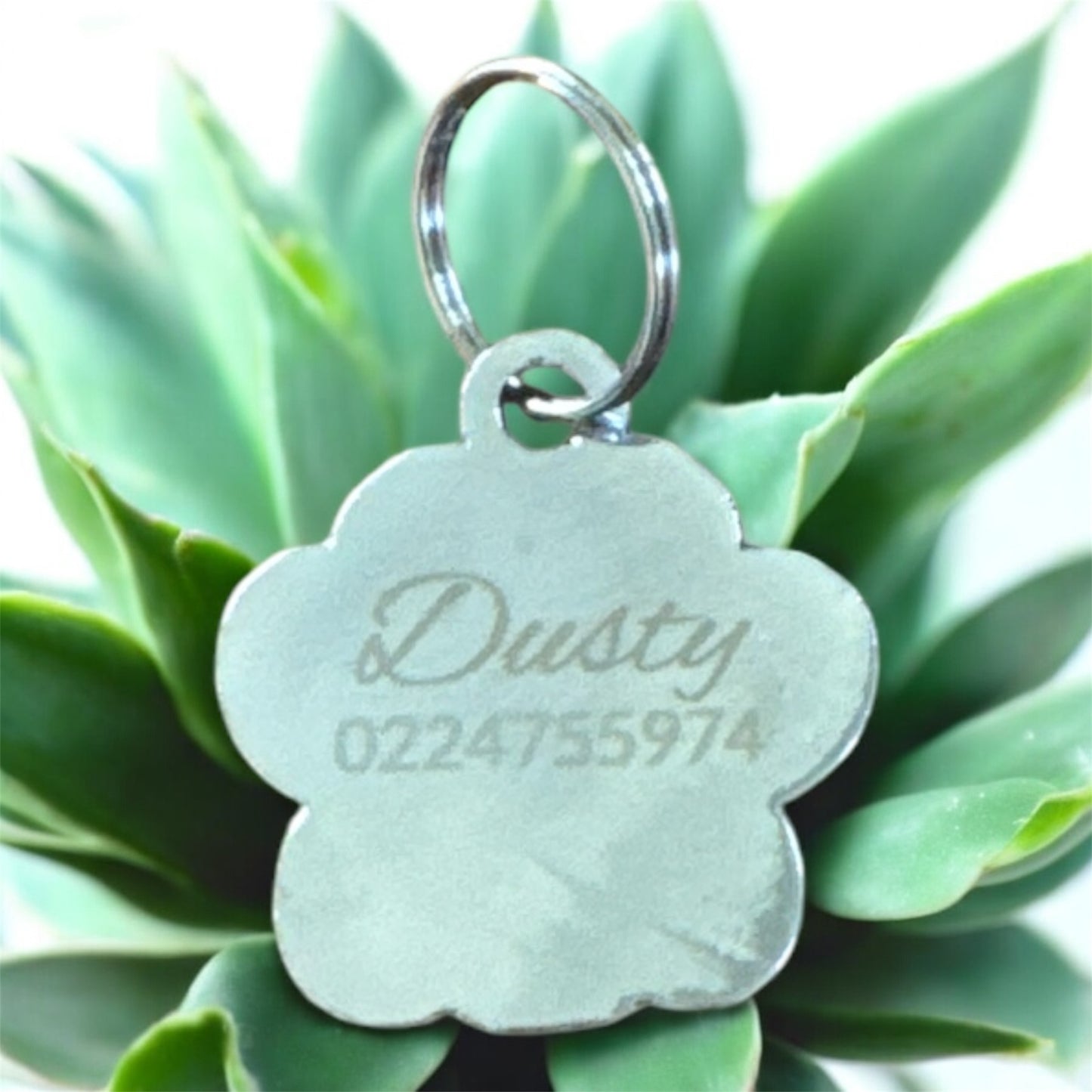 Cat Tags - Personalised