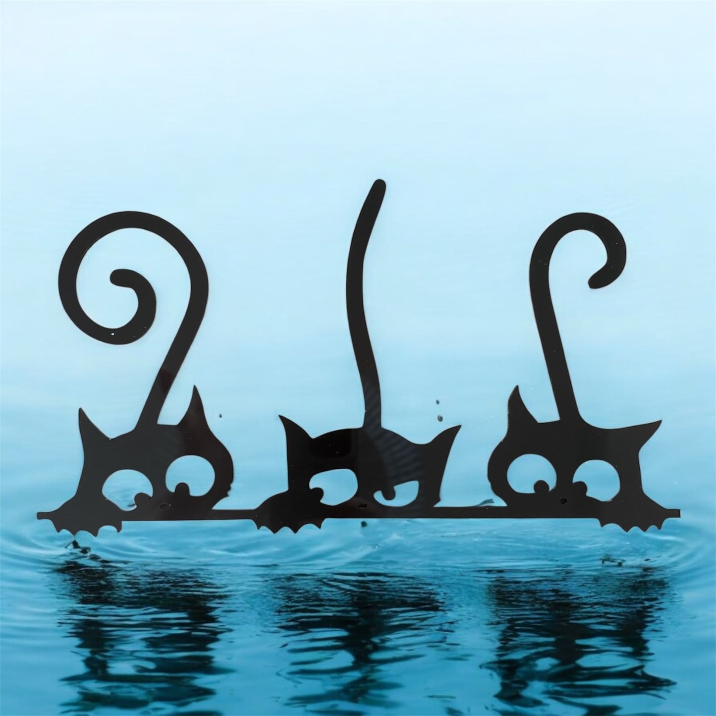 Perspex Wall Art - Crazy Kittens